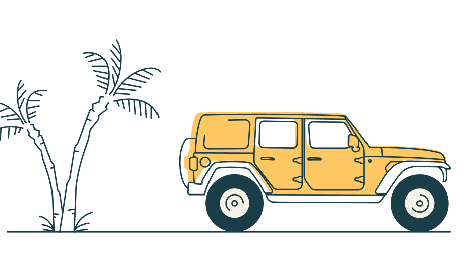 auto-detail